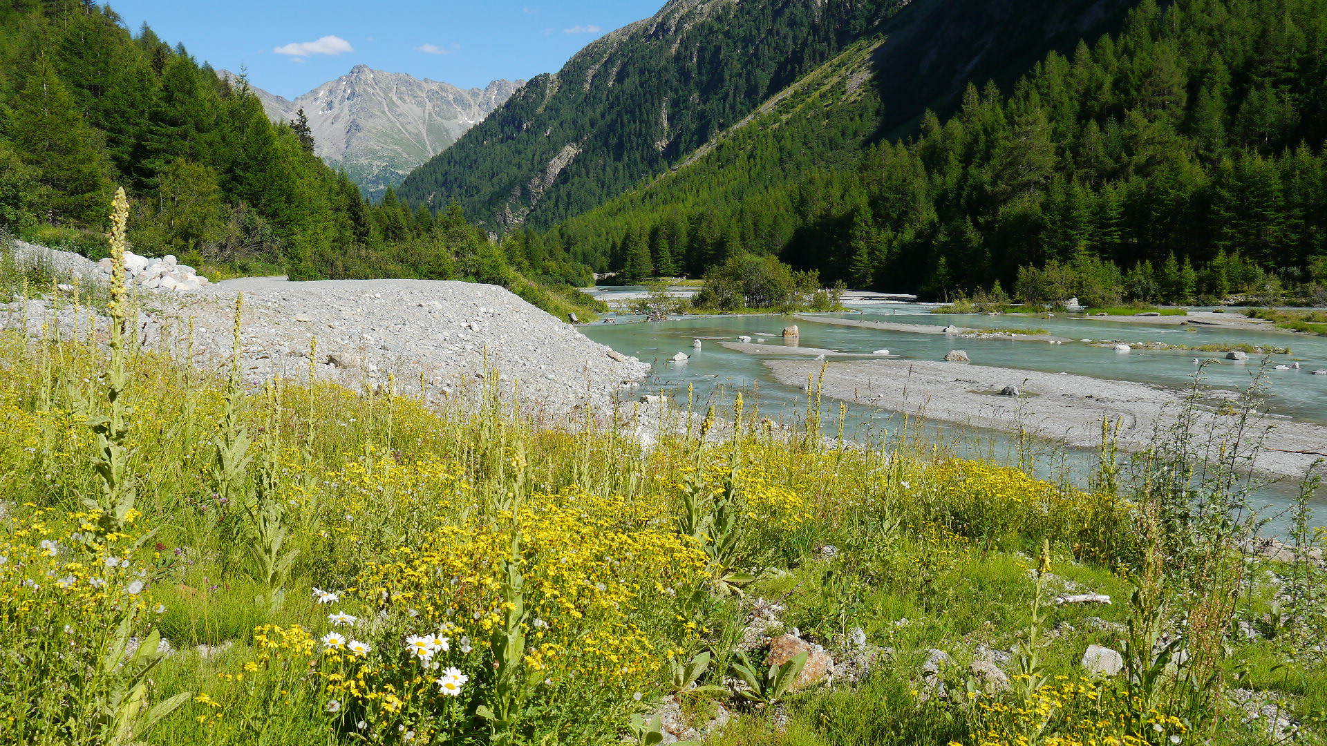 Am Fluss Susasca