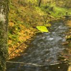 Am Fluss zur Zeit