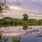 Am Fluss1 - Als mir sieben Wildgänse ins Bild flogen (alle mit Spiegelung)