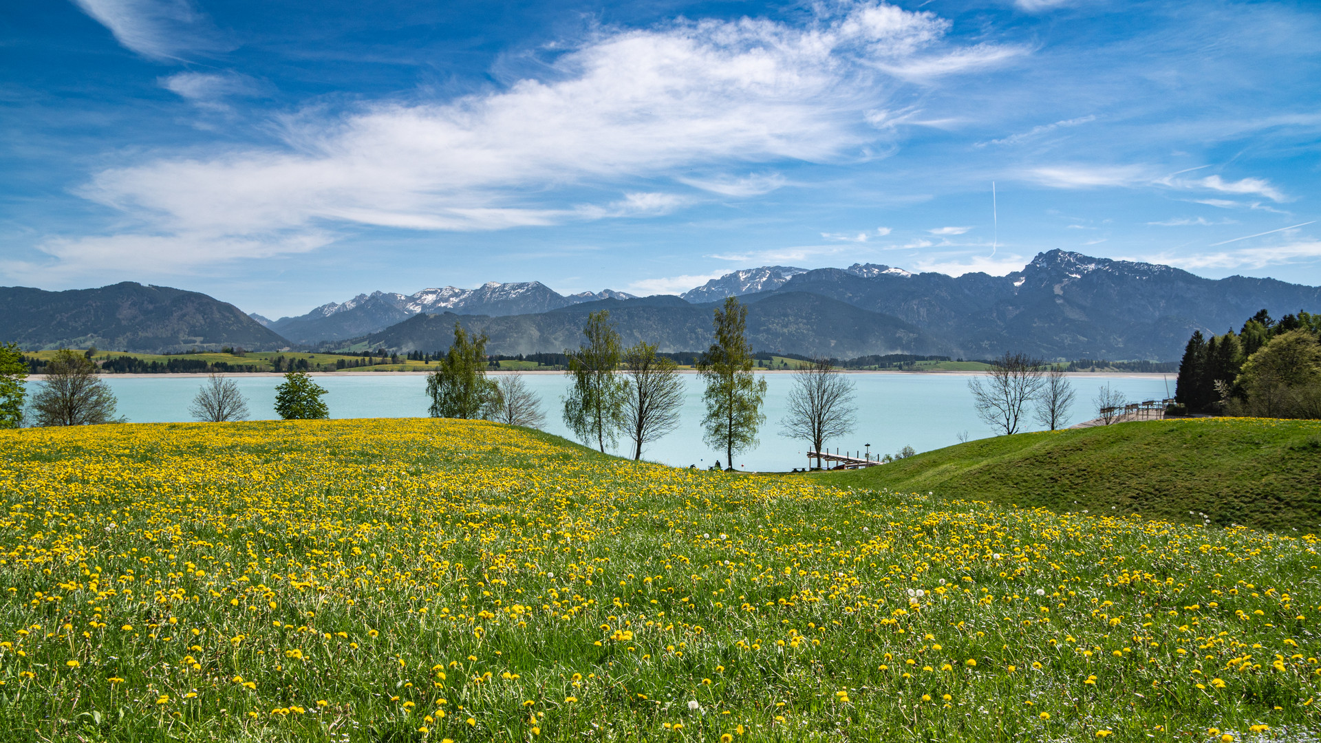 Am Forggensee