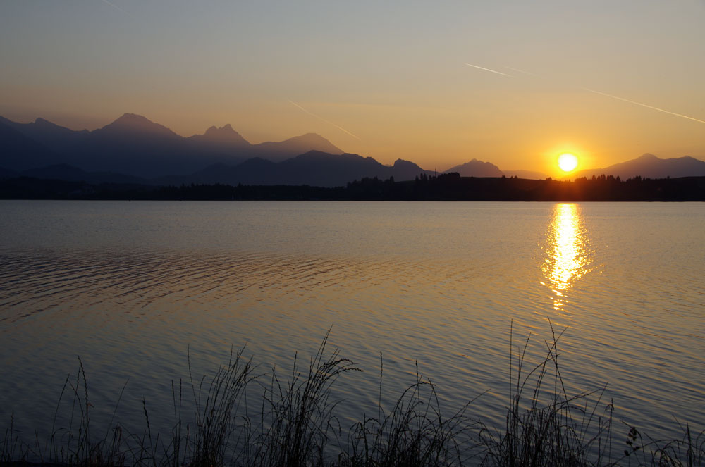 Am Forggensee