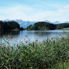 Am Forggensee / Ostallgäu