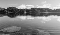 Am Forstsee 1