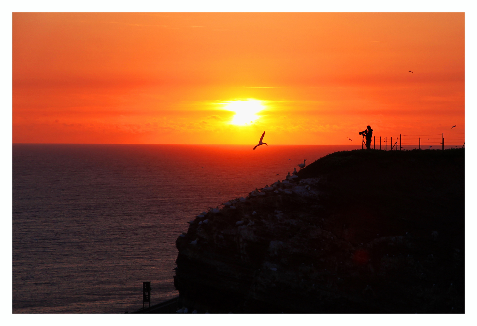 ... am Fotografenfelsen ... (Helgoland | Lummenfelsen)