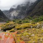 Am Franz Josef Gletscher