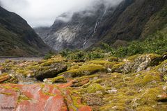 Am Franz Josef Gletscher