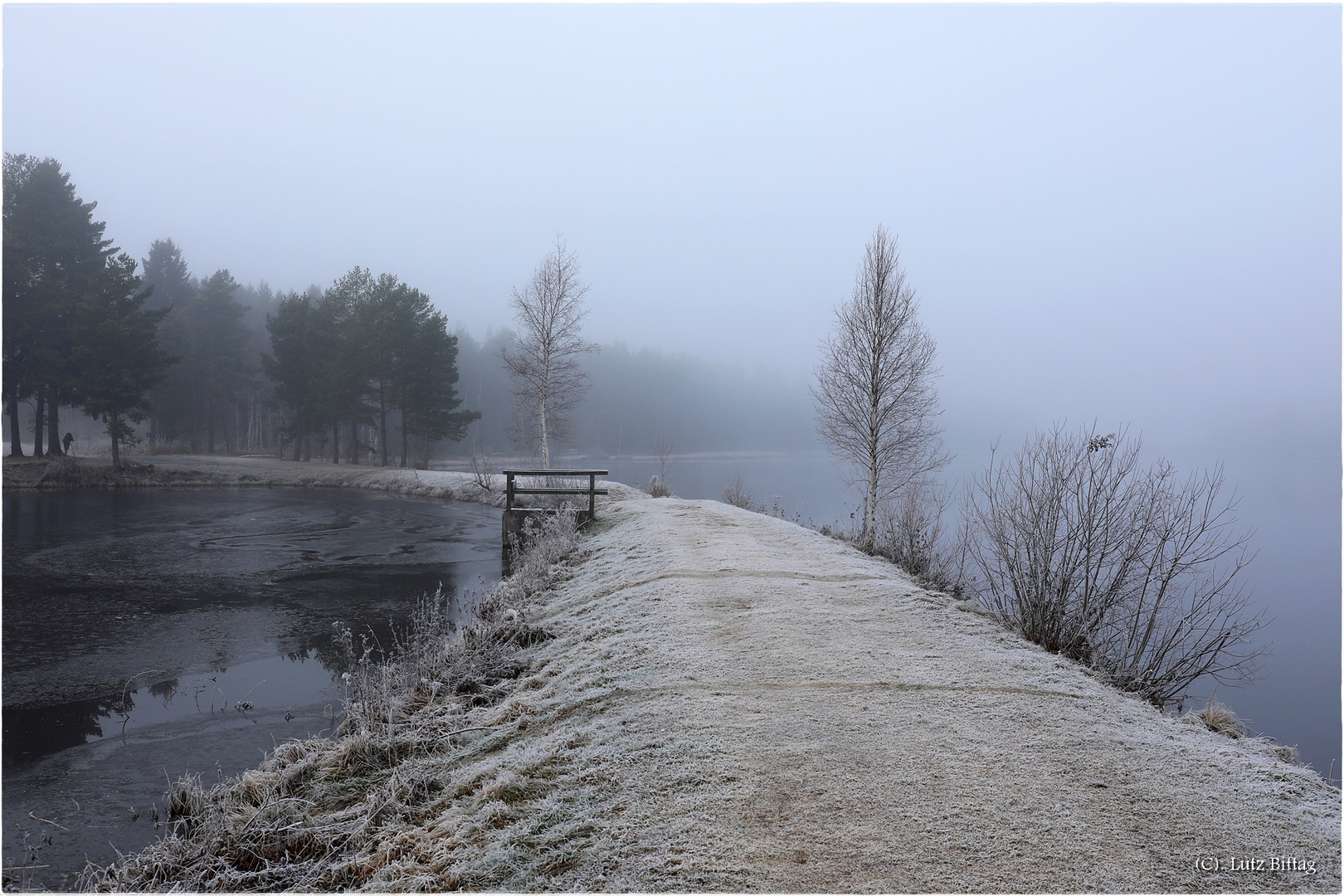 Am Frauenwieserteich bei Mitterschlag