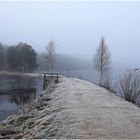 Am Frauenwieserteich bei Mitterschlag