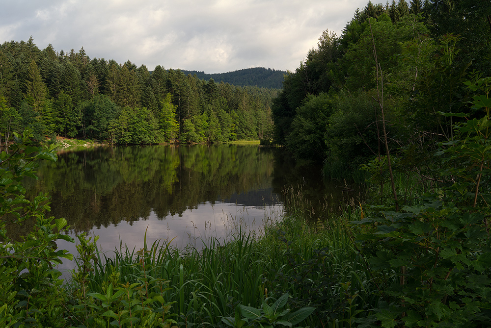 Am Freudensee 2