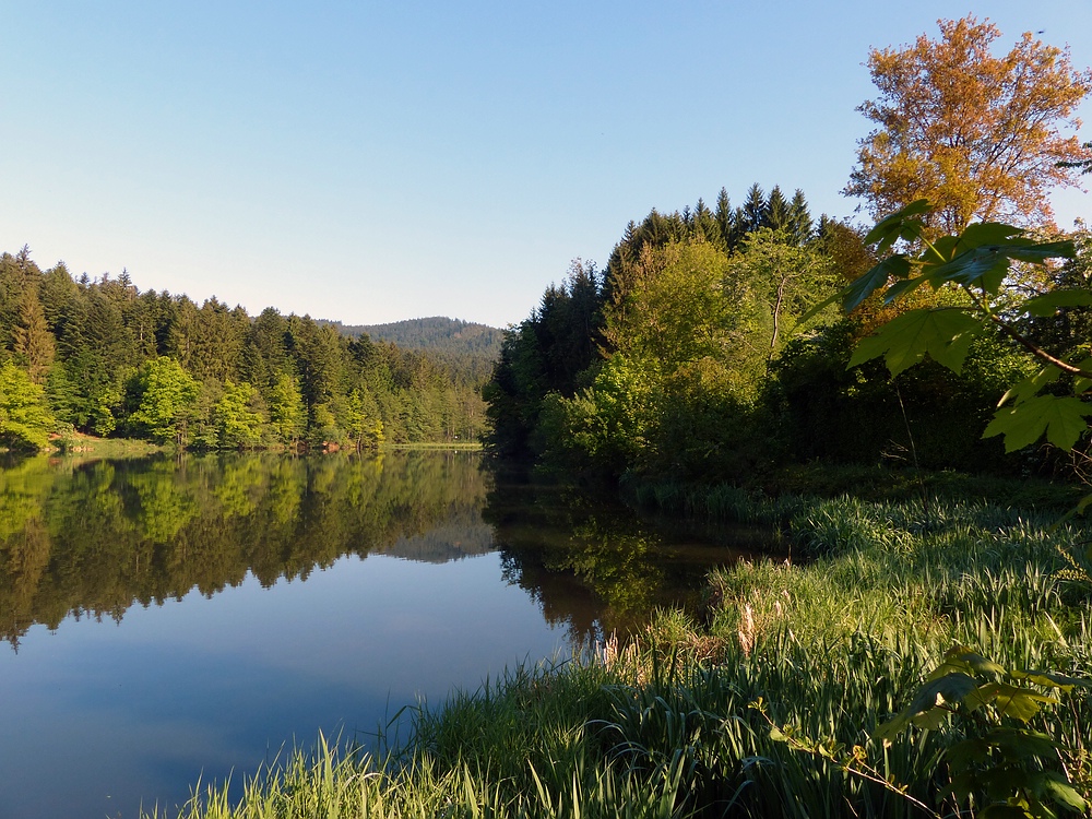 Am Freudensee