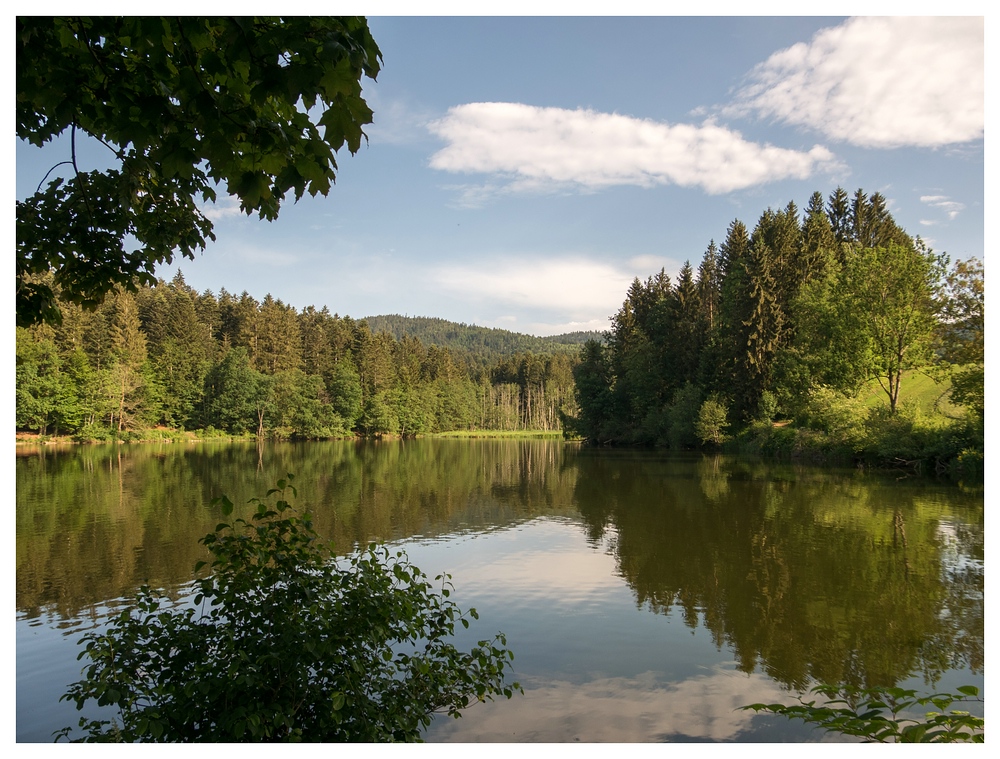 Am Freudensee