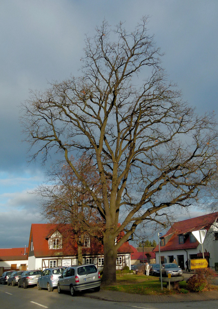 Am Friedensplatz in Ummendorf (Börde)