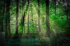 Am Friedhof