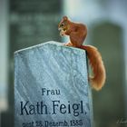 Am Friedhof ist Leben 