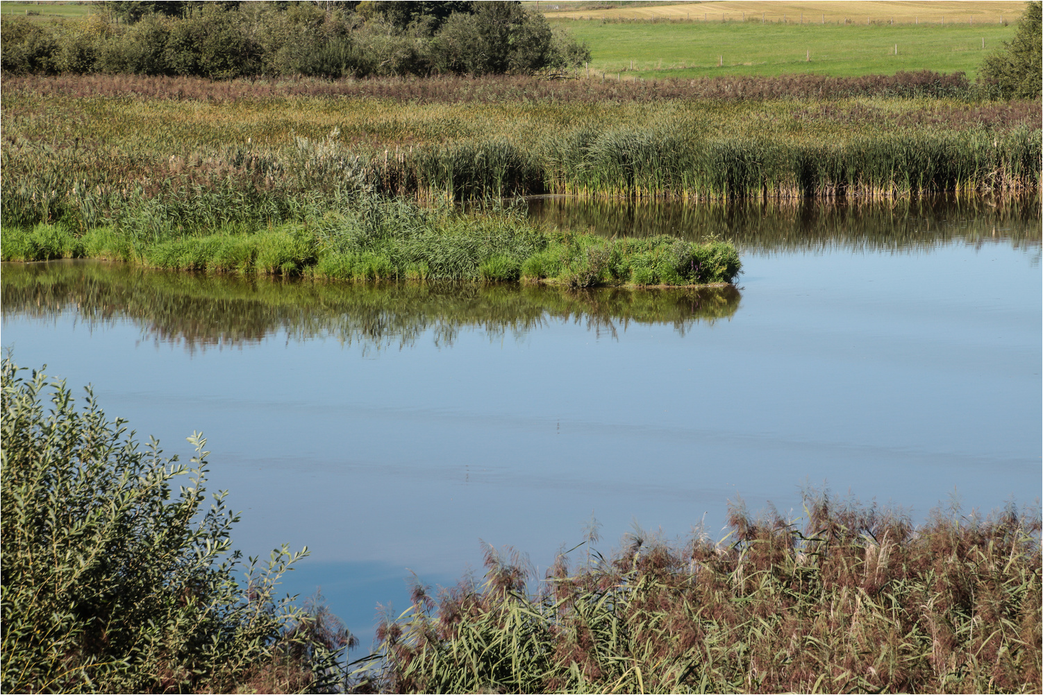 Am Frießnitzer See