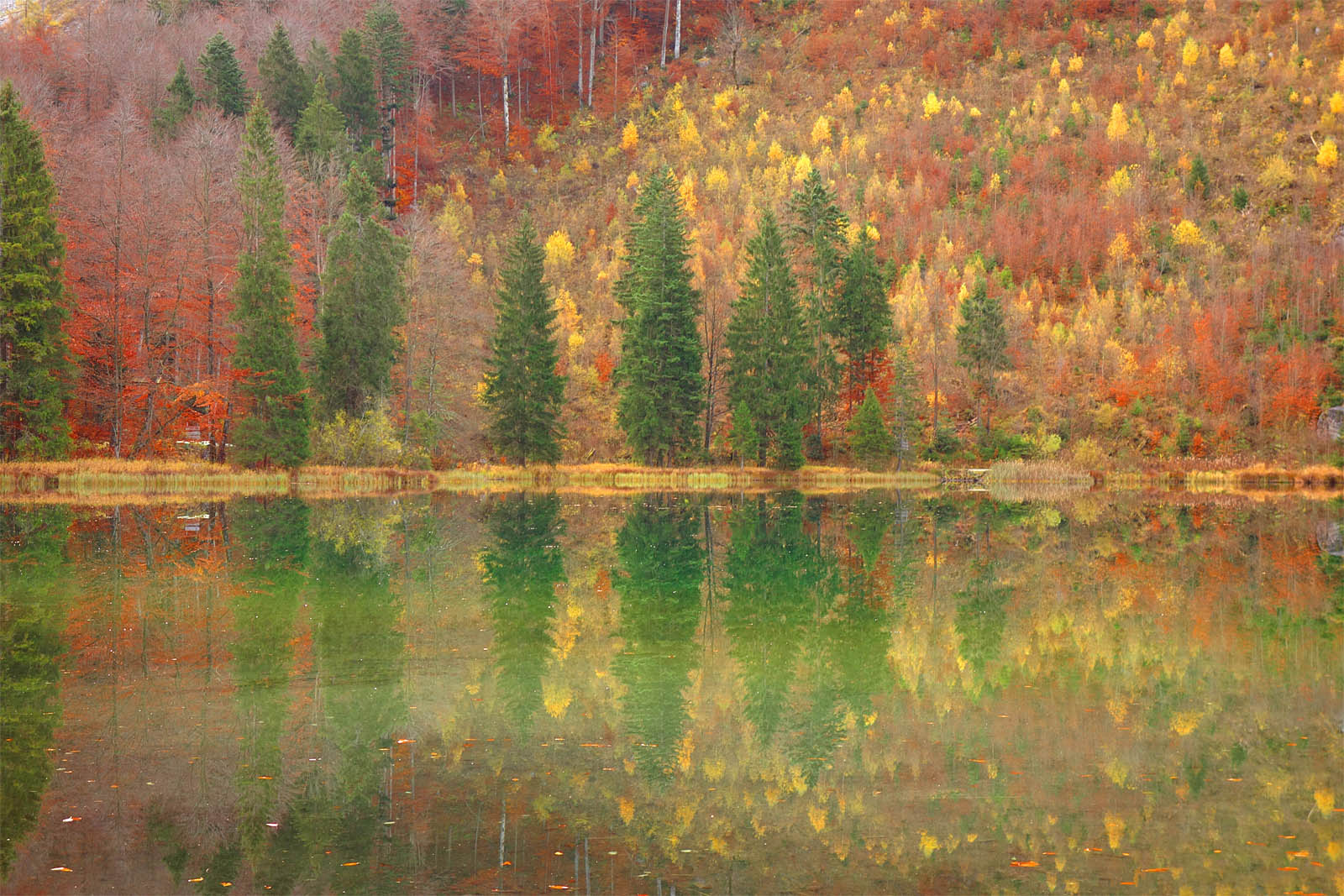 am Frillensee