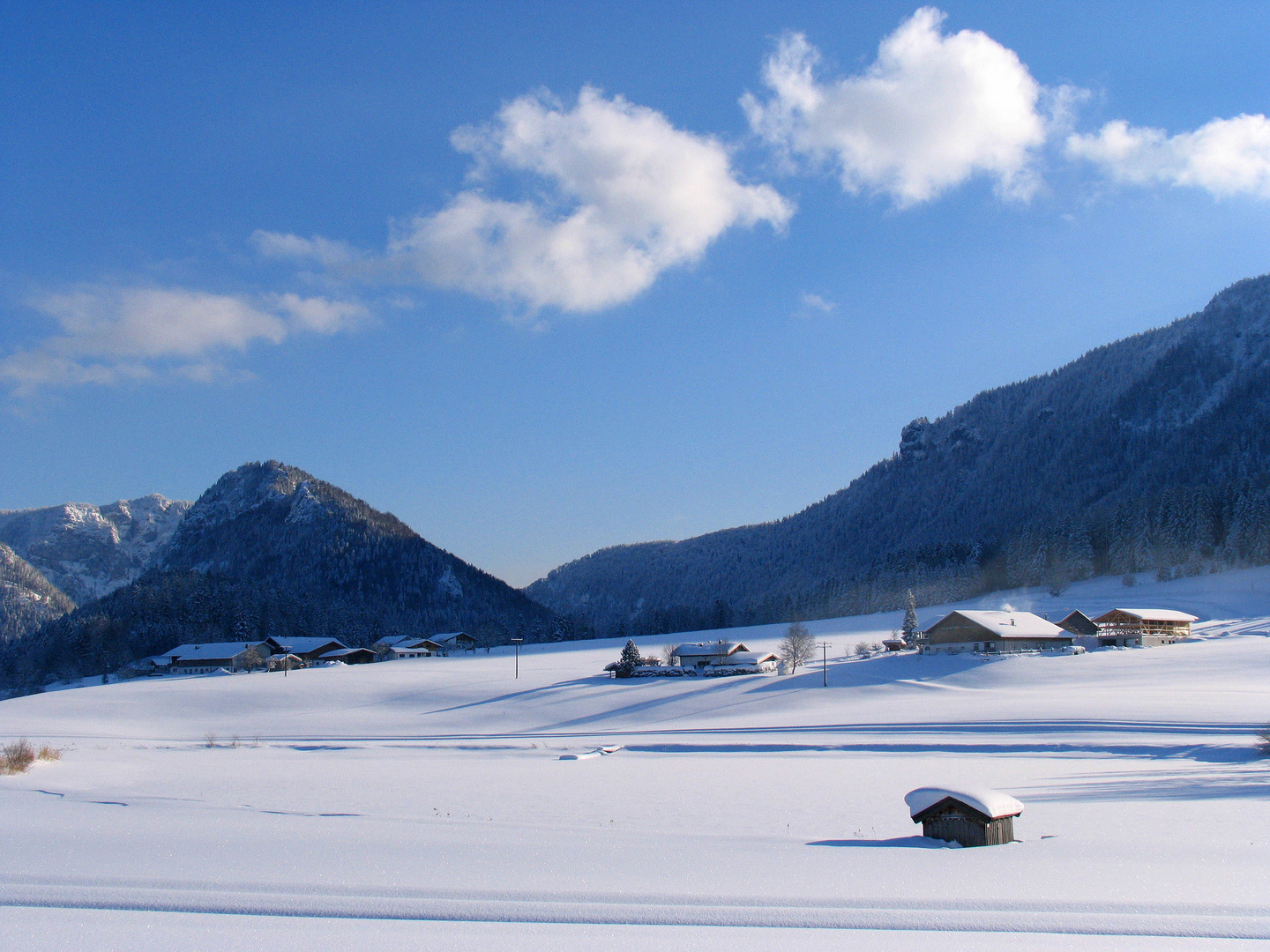 Am Froschsee