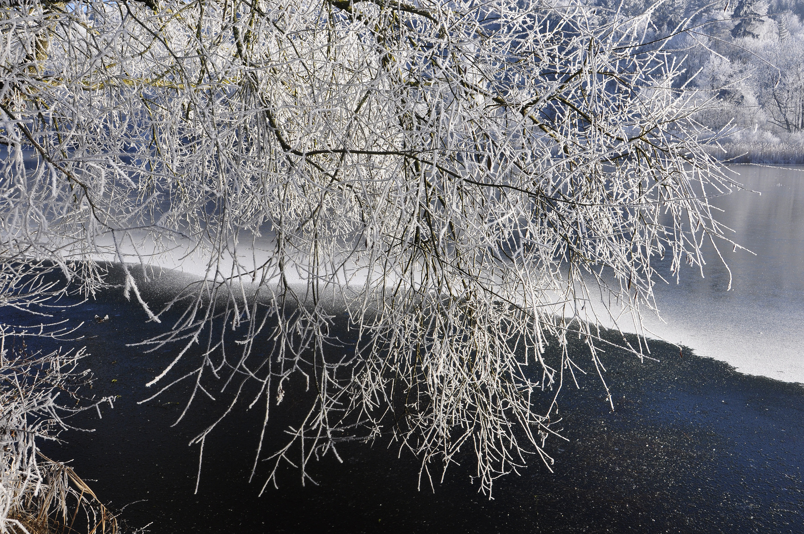 Am froststarren Weiher