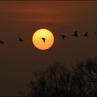 Am frühen Abend!