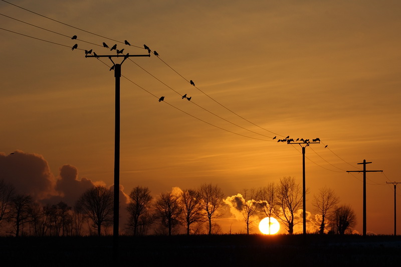 Am frühen Abend