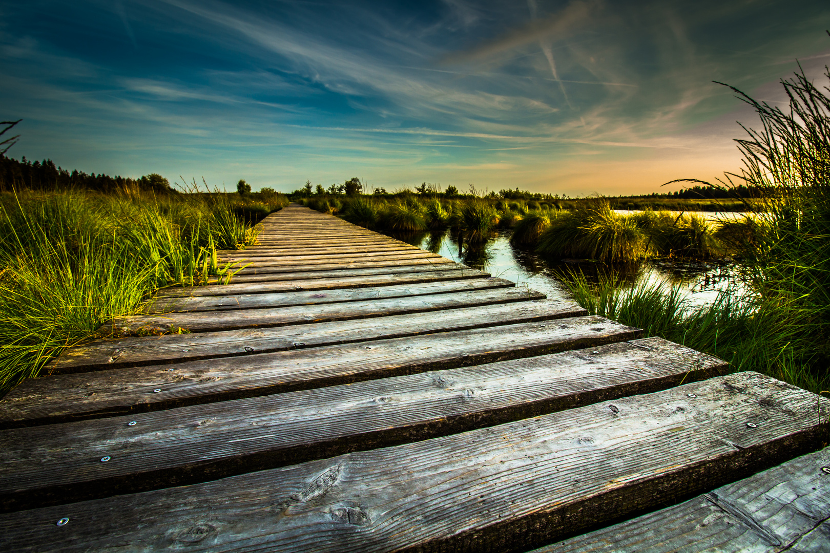 Am frühen Abend im hohen Venn Foto & Bild landschaft, bach, fluss