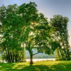 Am frühen Abend im Rheinpark 2