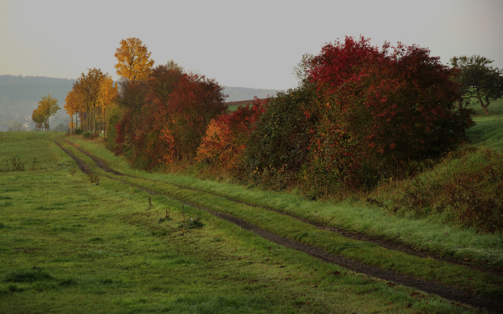 Am frühen Herbstmorgen.....