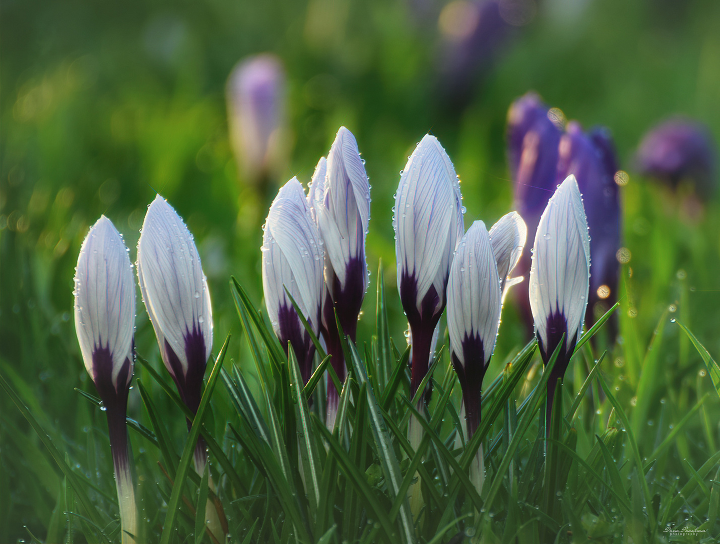 Am frühen Morgen