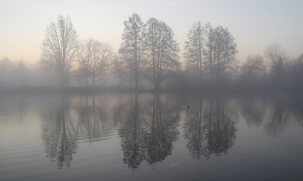 am frühen Morgen