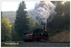 Am frühen Morgen ....