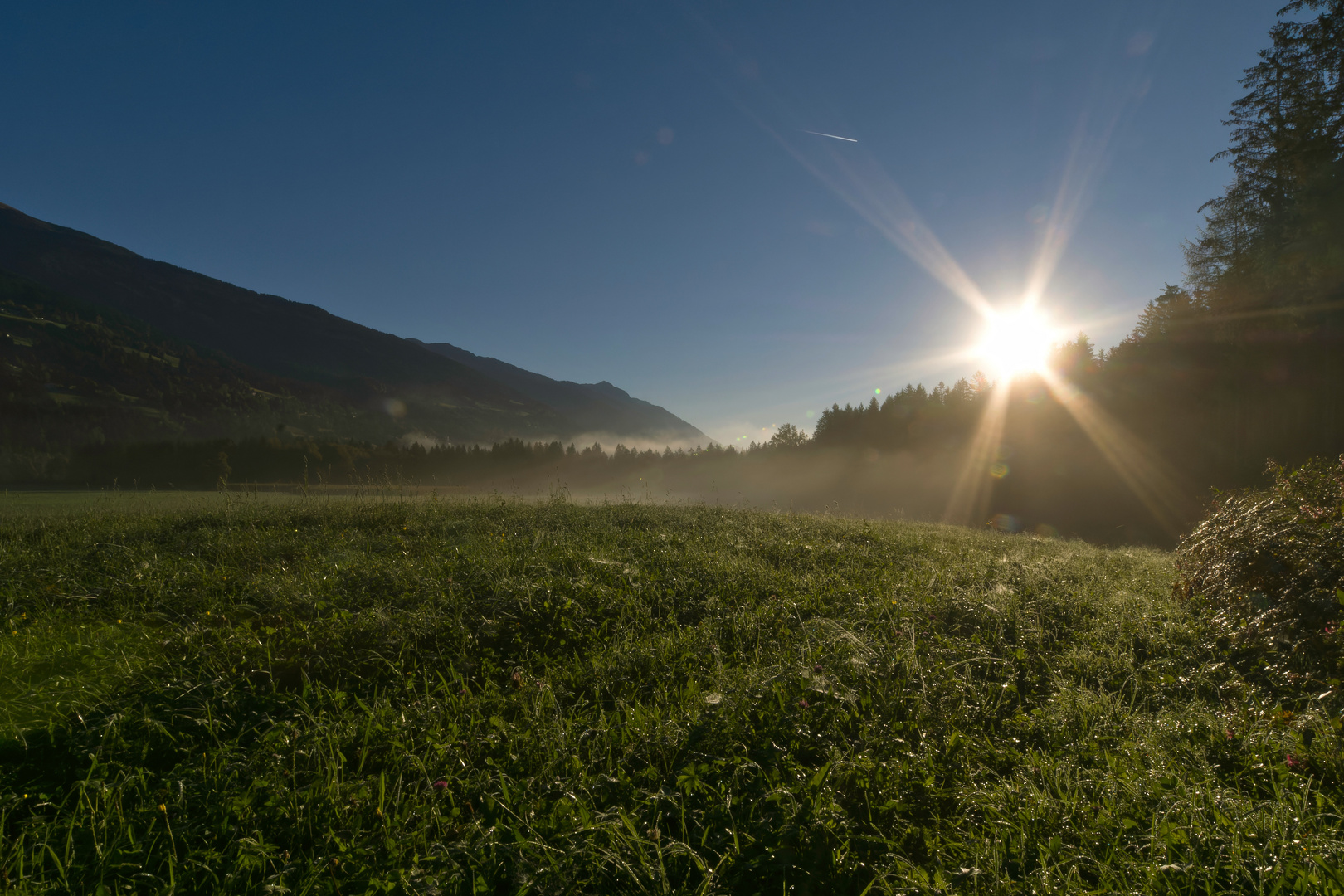 Am frühen Morgen