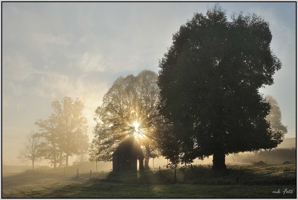 Am frühen Morgen