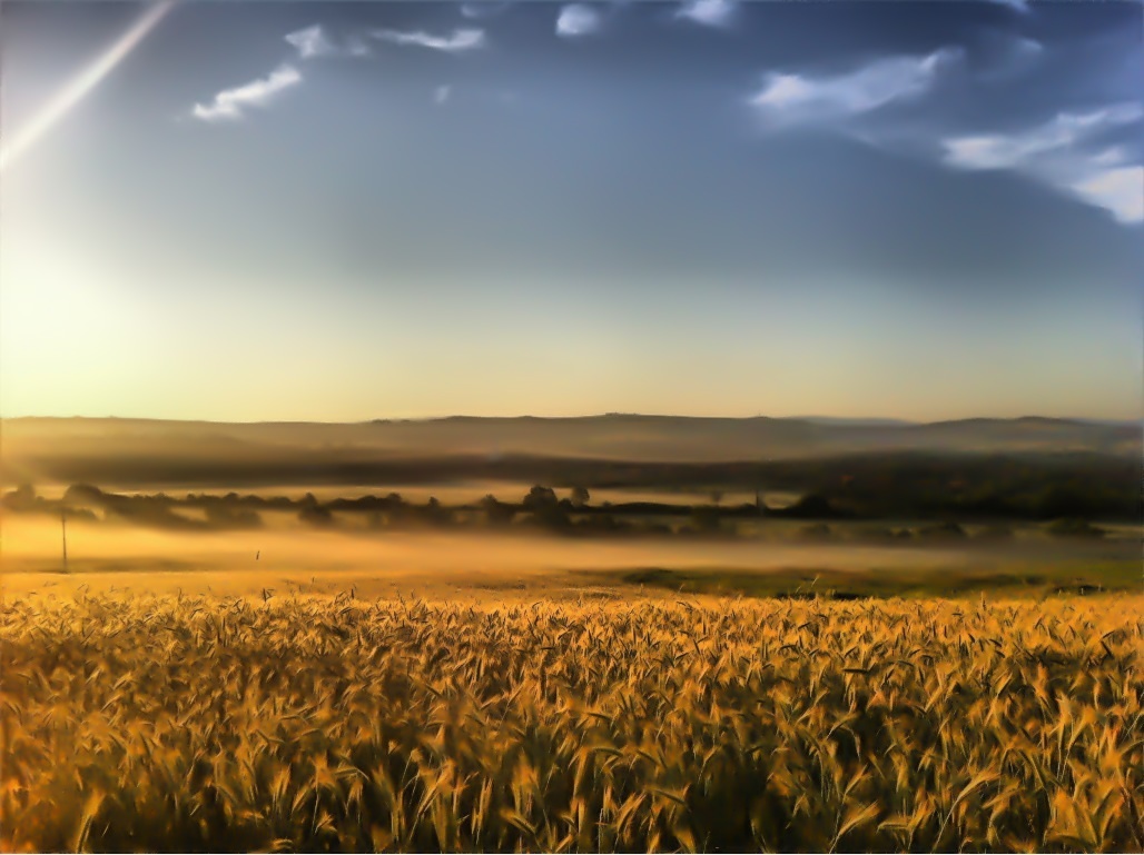 Am frühen Morgen...