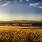 Am frühen Morgen...