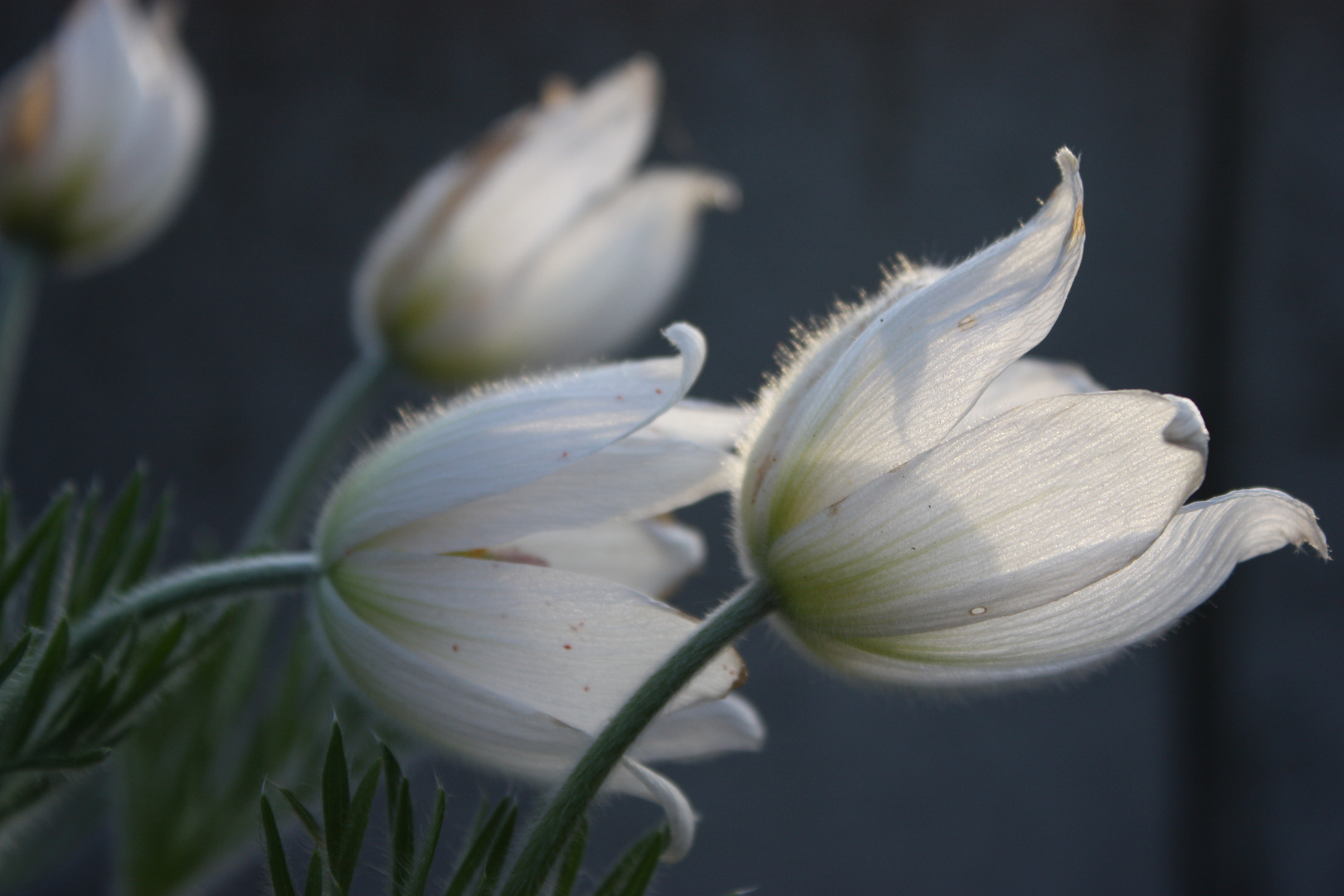 Am frühen Morgen