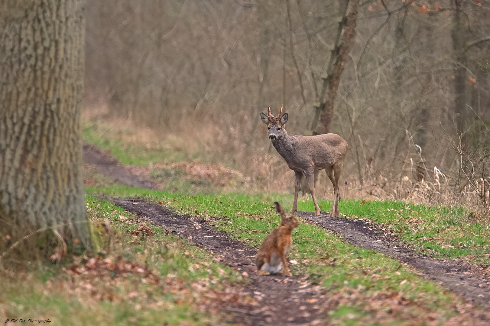 am frühen Morgen....