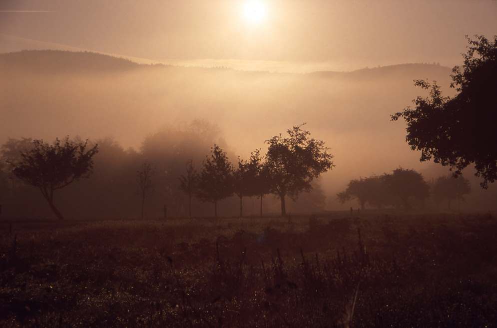 am frühen morgen