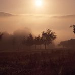 am frühen morgen