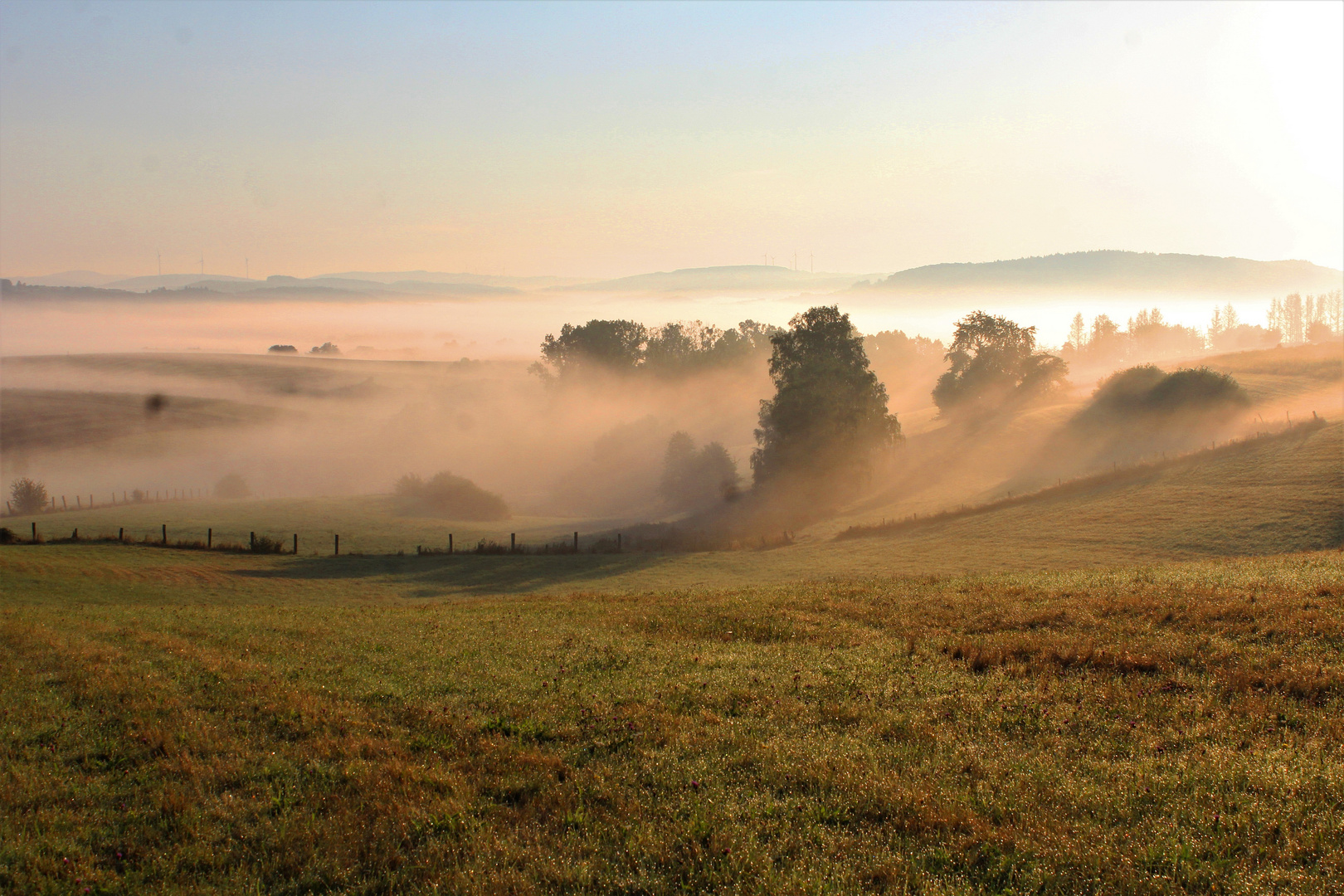 am frühen Morgen