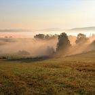 am frühen Morgen