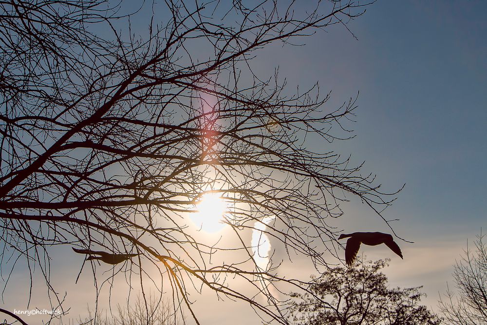 Am frühen Morgen