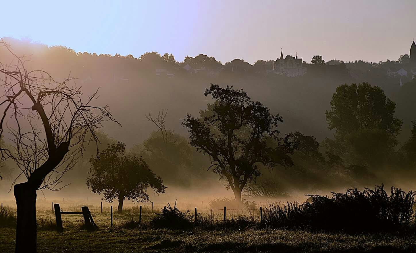 Am frühen Morgen !