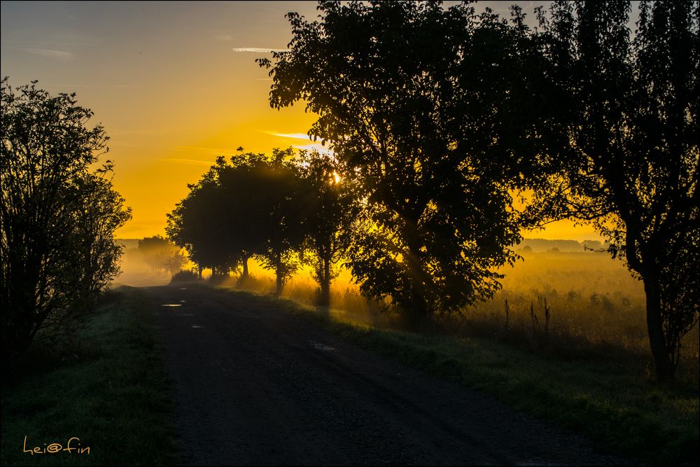 am frühen Morgen