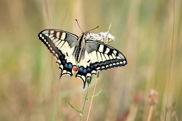 Am frühen Morgen…