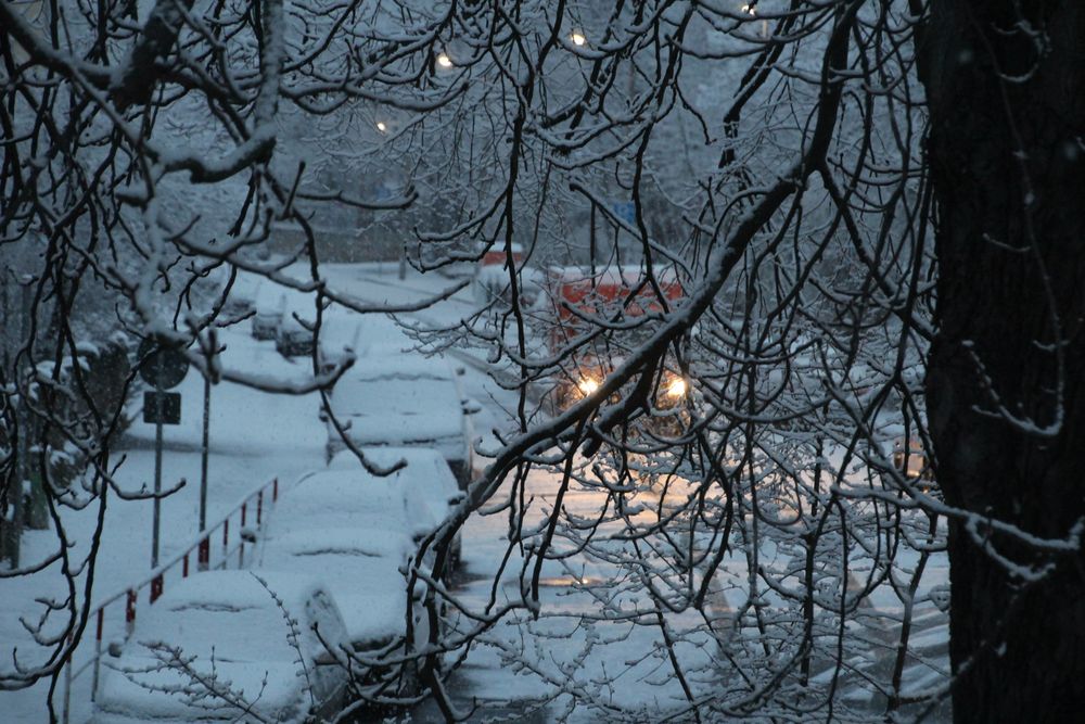 Am frühen Morgen...