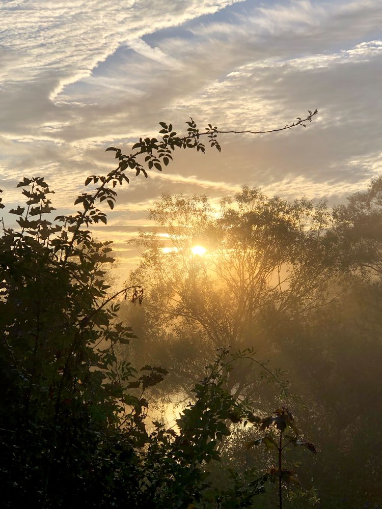 Am frühen Morgen