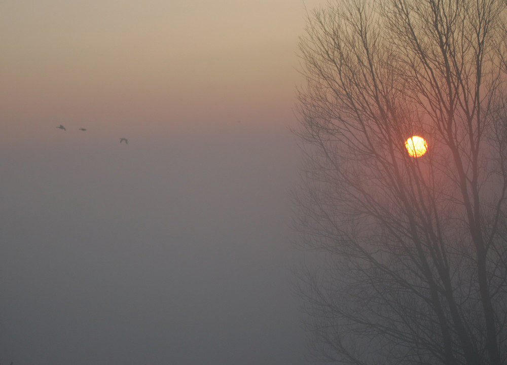 Am frühen Morgen