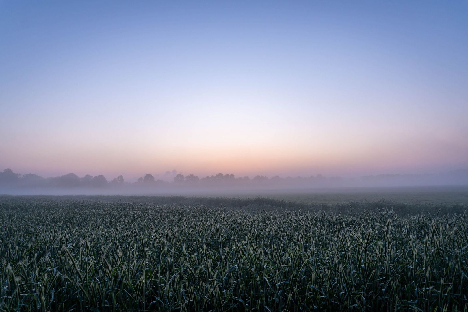 Am frühen Morgen