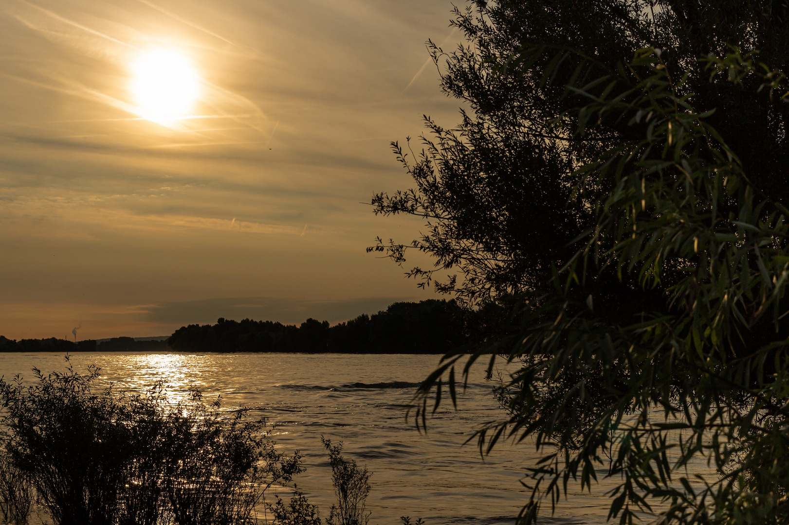 Am frühen Morgen am Fluss...