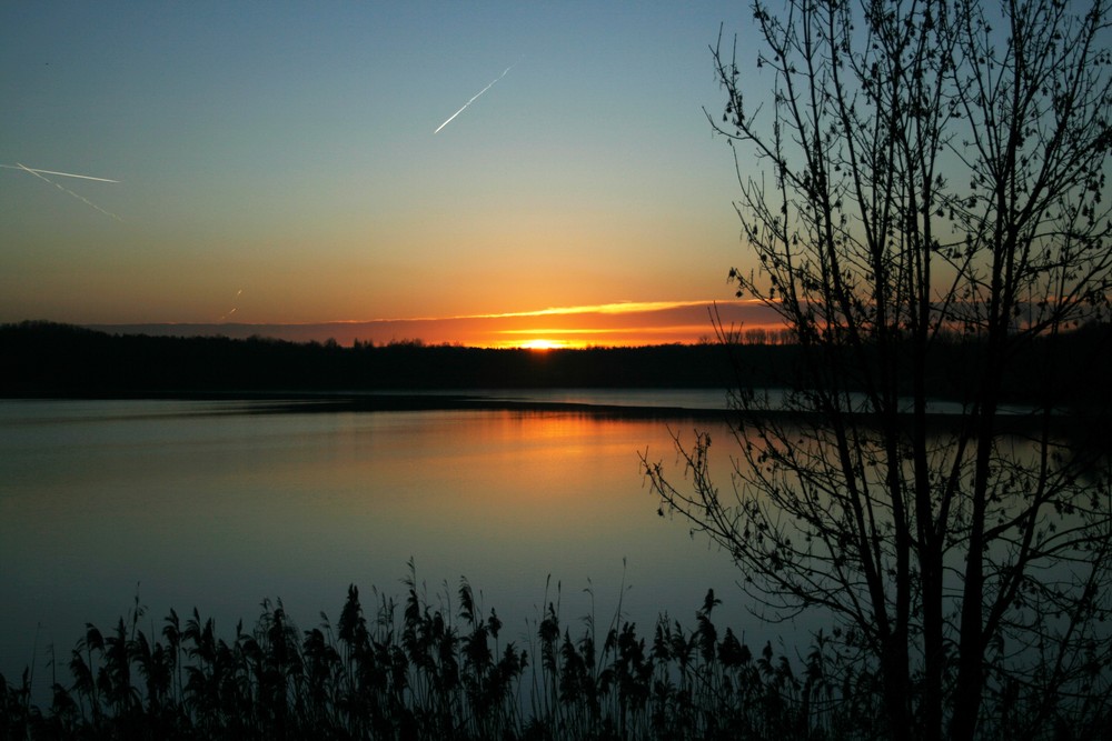 Am frühen Morgen am Naturschutzsee.